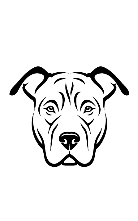 Стафф